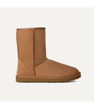 Bota Classic Short II Ugg