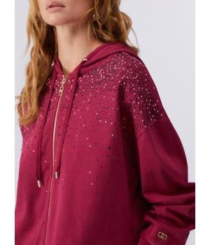 Sudadera Capucha Brillo Liu Jo